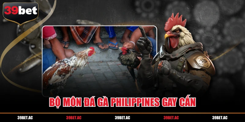 Bộ môn đá gà Philippines gay cấn
