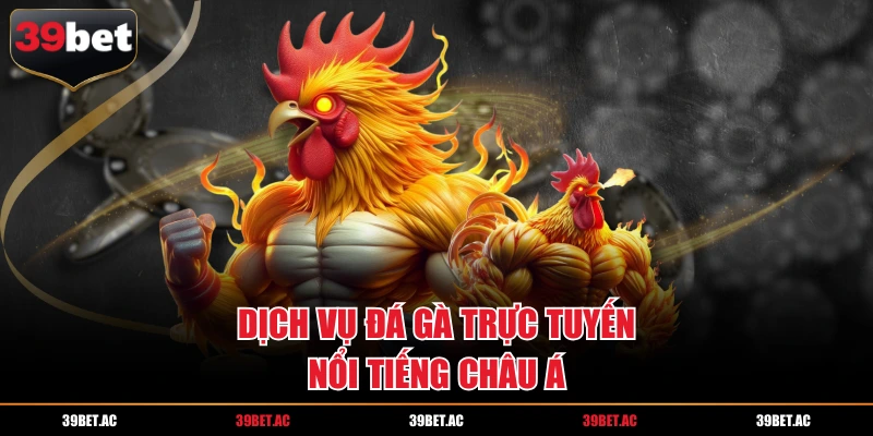 Dịch vụ đá gà trực tuyến nổi tiếng châu Á
