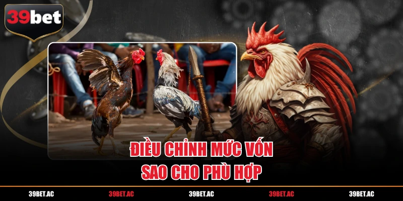 Điều chỉnh mức vốn sao cho phù hợp