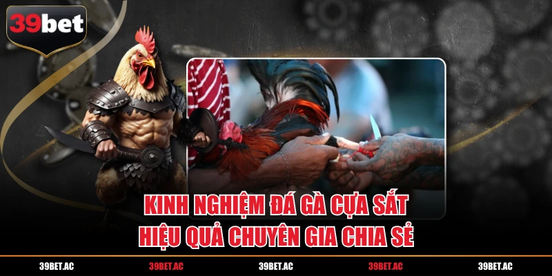Kinh nghiệm đá gà cựa sắt hiệu quả chuyên gia chia sẻ