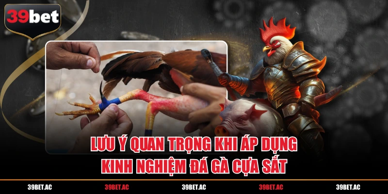 Lưu ý quan trọng khi áp dụng mẹo chơi đá gà cựa sắt