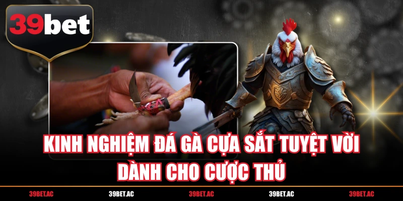 Kinh Nghiệm Đá Gà Cựa Sắt
